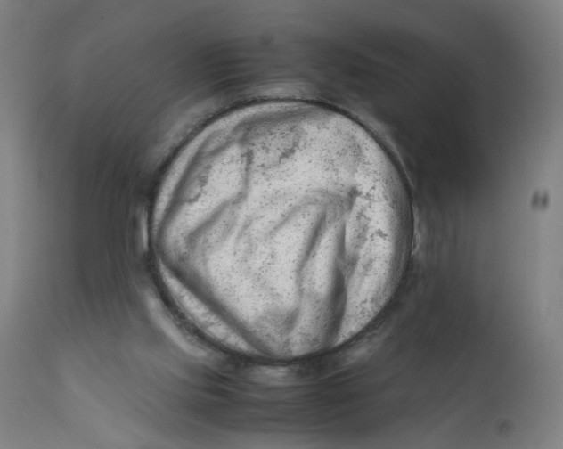 X0000112210061200909041351
