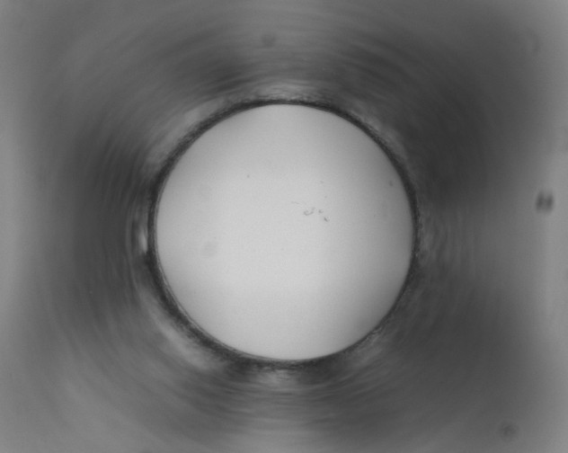 X0000112210062200909041351