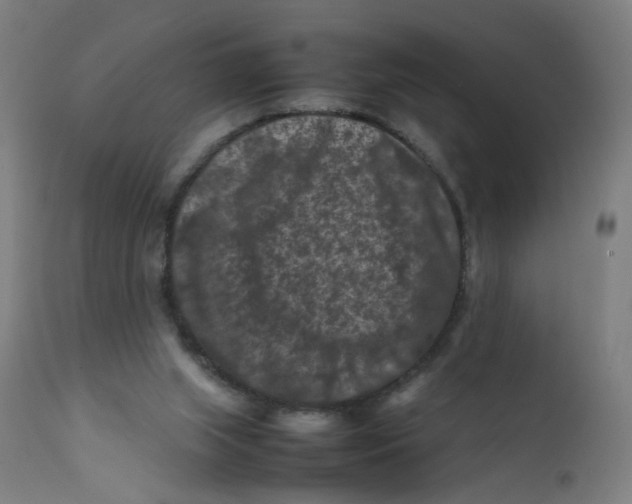 X0000112210063200909041351