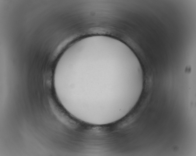 X0000112210064200909041351