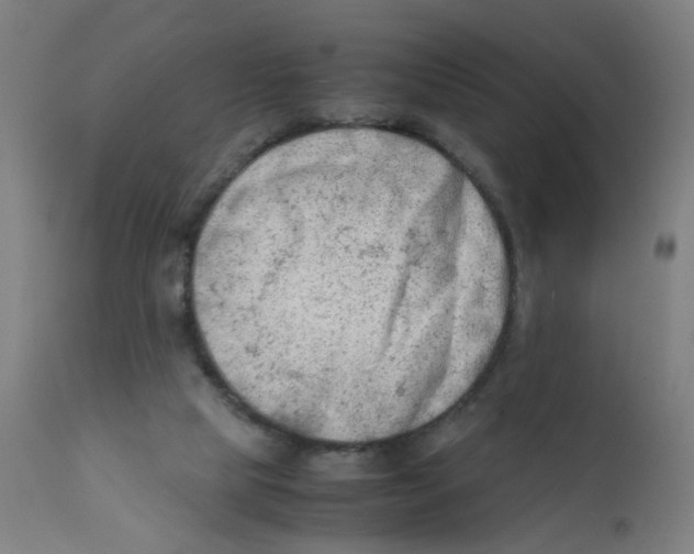 X0000112210065200909041351