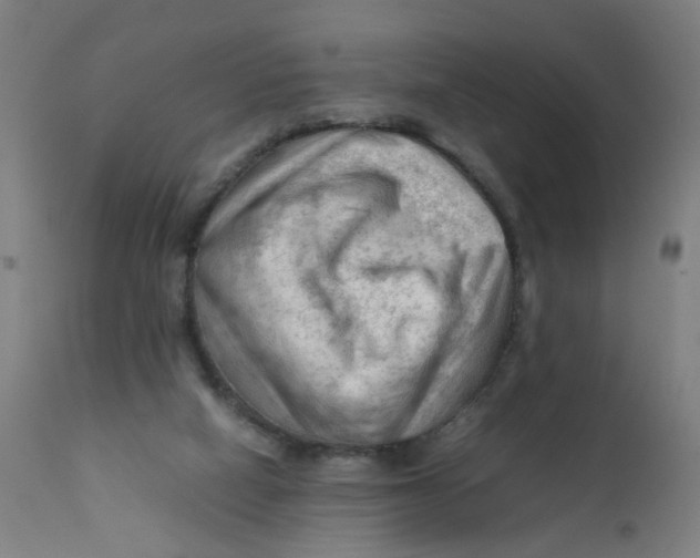 X0000112210066200909041351