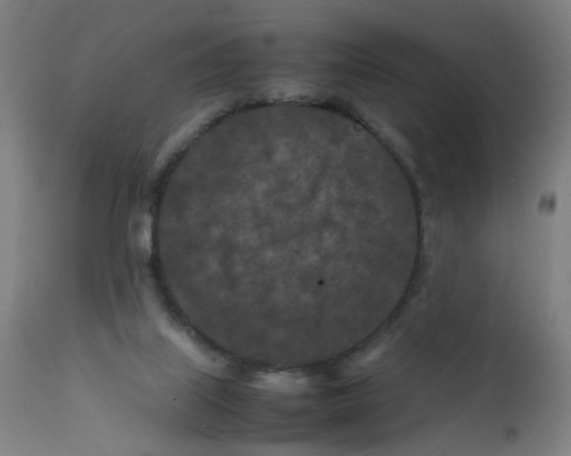 X0000112210067200909041351