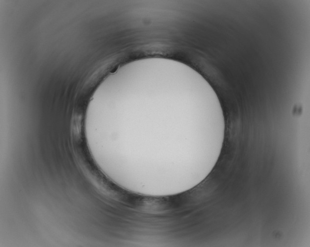 X0000112210070200909041351