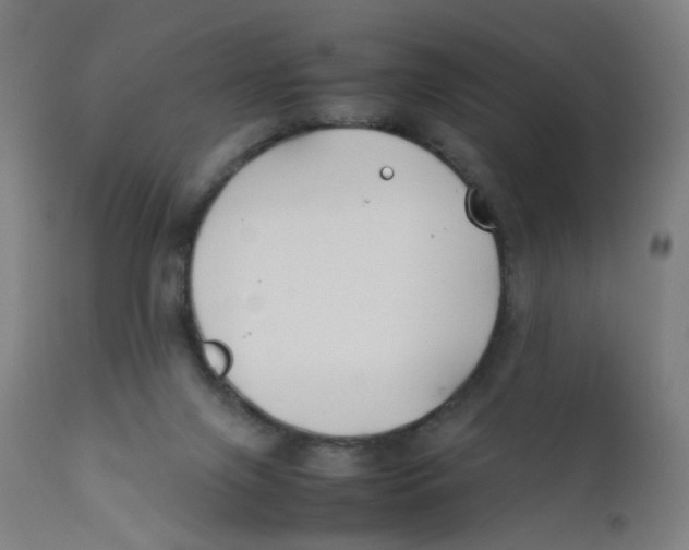 X0000112210071200909041351