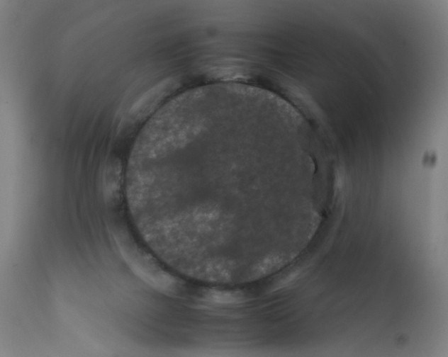 X0000112210073200909041351