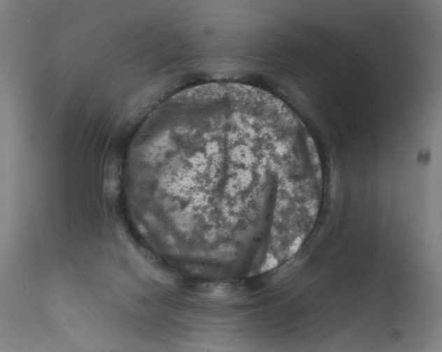 X0000112210074200909041351