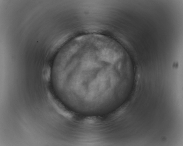 X0000112210076200909041351