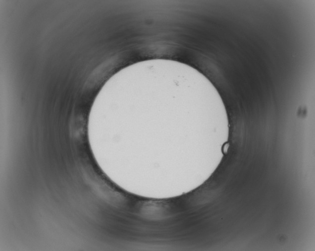 X0000112210077200909041351