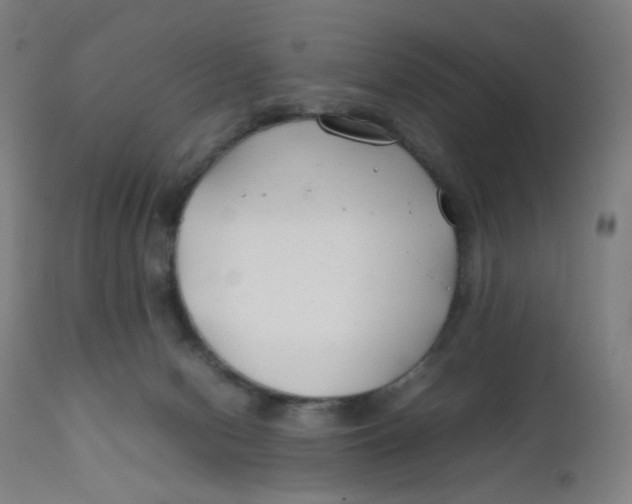 X0000112210078200909041351