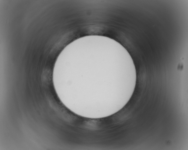 X0000112210079200909041351