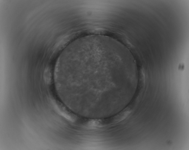 X0000112210080200909041351