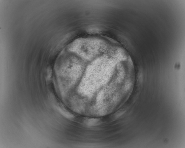 X0000112210081200909041351
