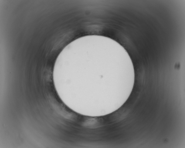 X0000112210083200909041351