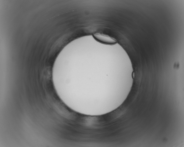 X0000112210085200909041351