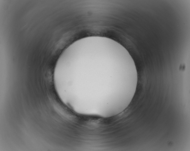 X0000112210086200909041351