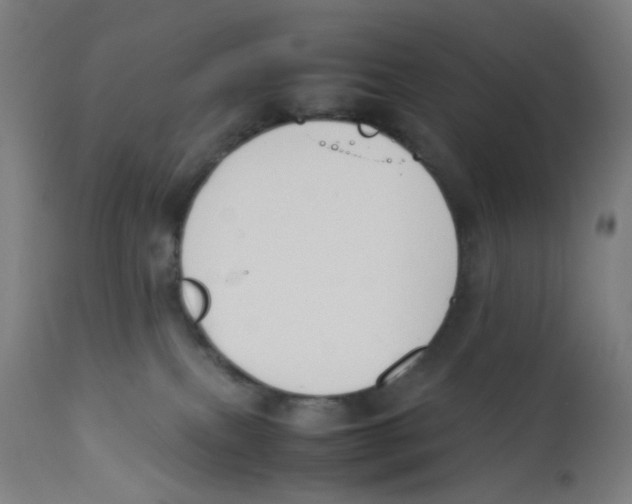 X0000112210087200909041351