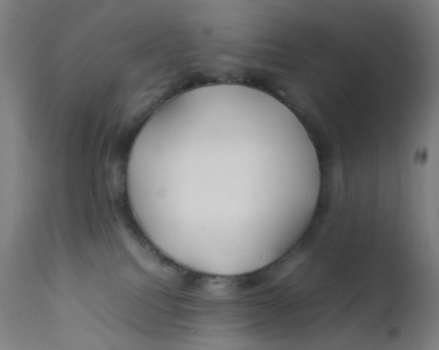 X0000112210088200909041351