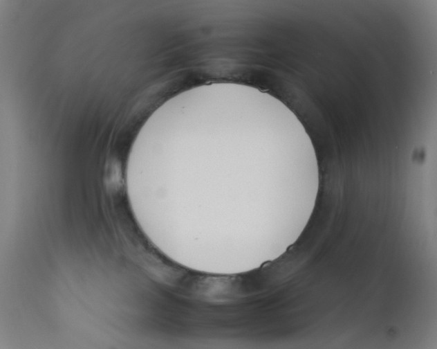 X0000112210089200909041351