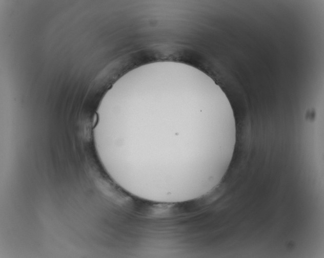 X0000112210090200909041351