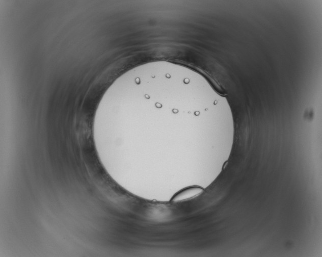 X0000112210091200909041351