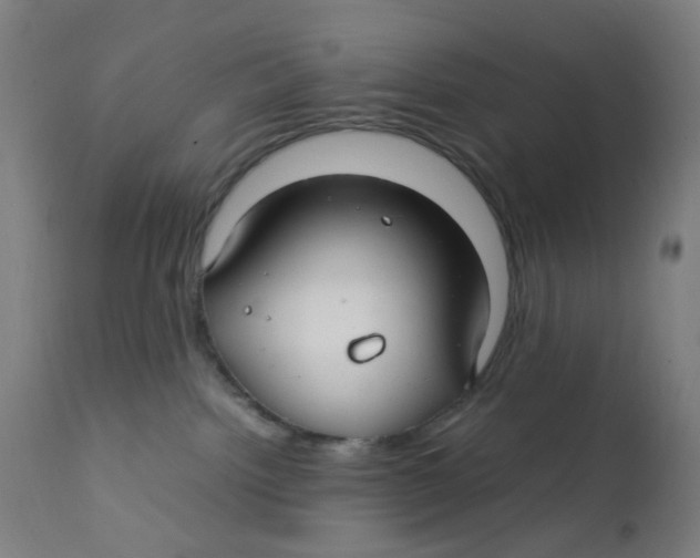 X0000112210092200909041351