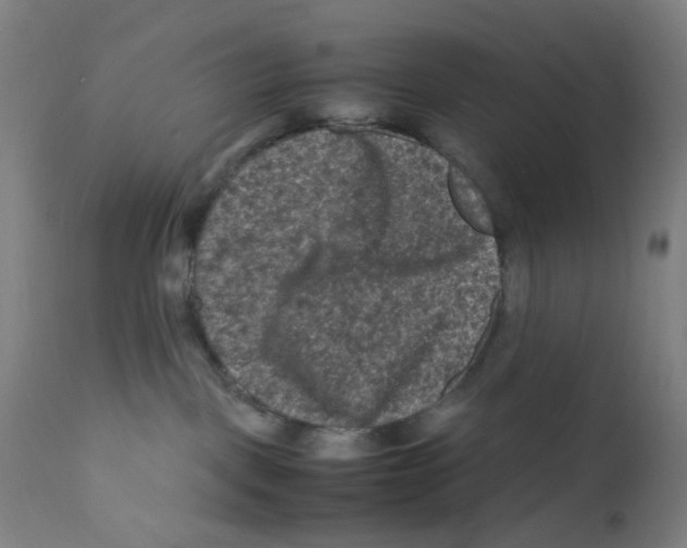 X0000112210093200909041351