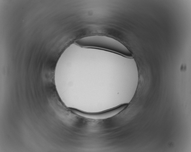 X0000112210096200909041351