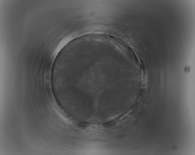 X0000112210099200909041351