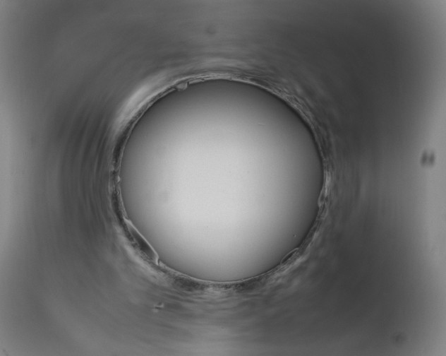 X0000112210101200909041351
