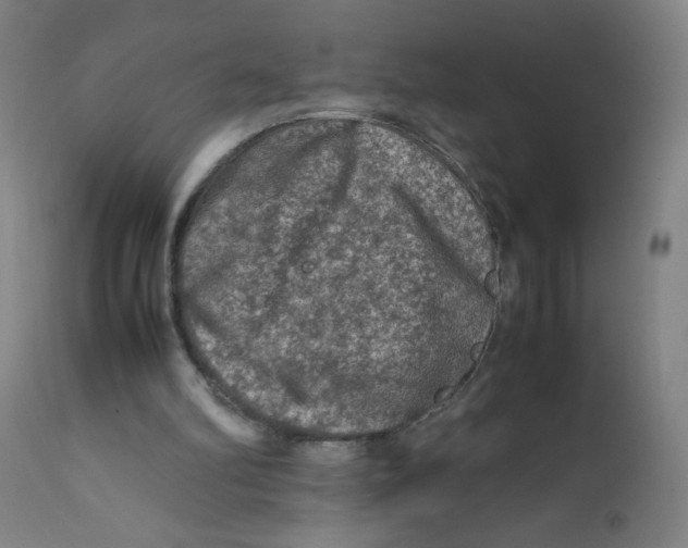X0000112210102200909041351