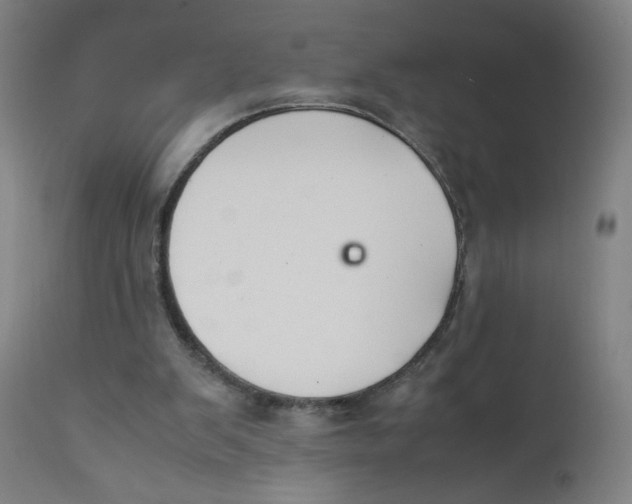 X0000112210103200909041351