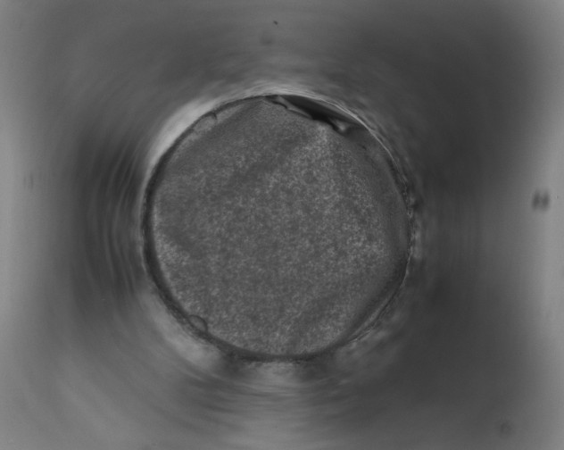 X0000112210104200909041351