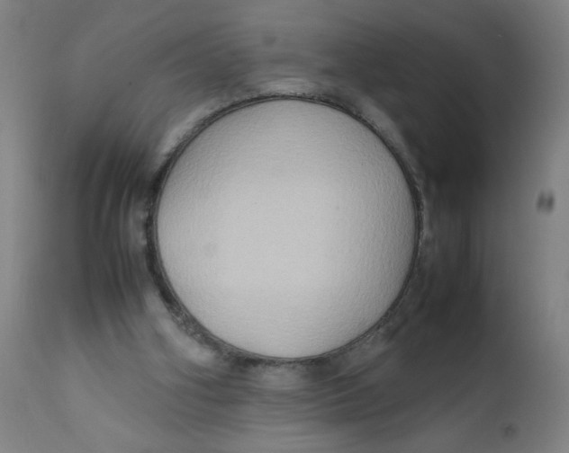 X0000112210106200909041351