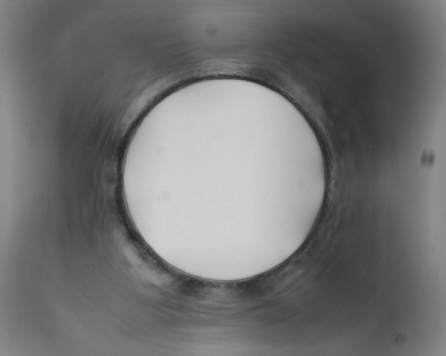 X0000112210107200909041351