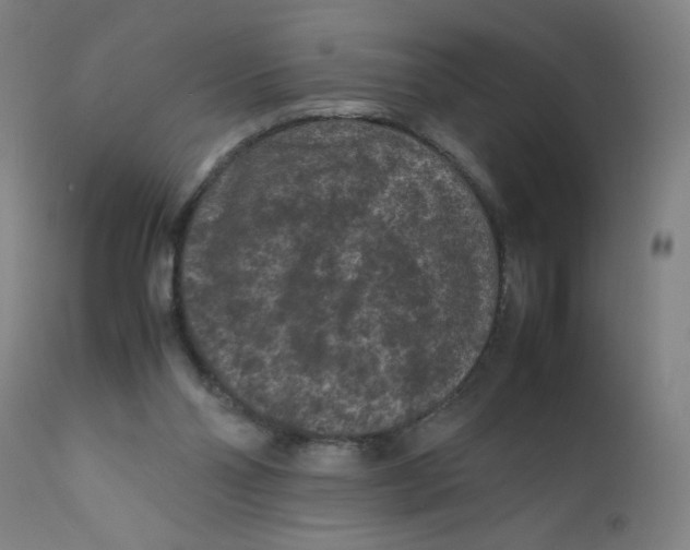 X0000112210110200909041351