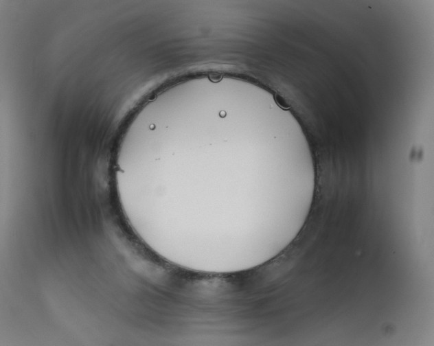 X0000112210112200909041351