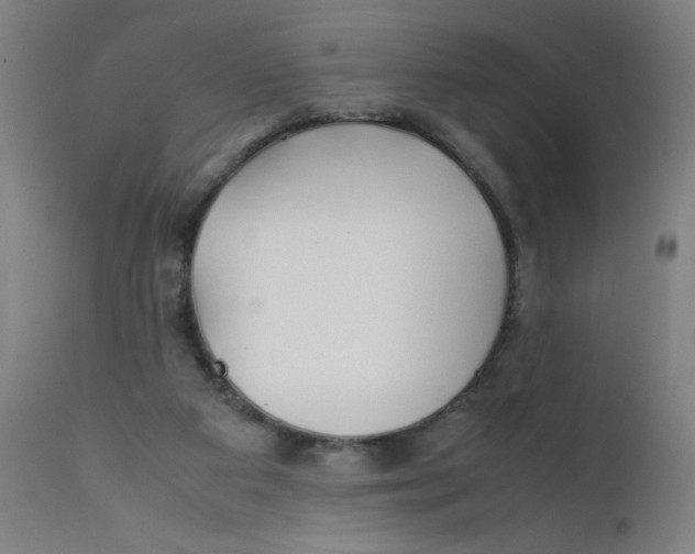 X0000112210113200909041351