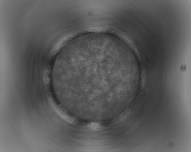 X0000112210114200909041351