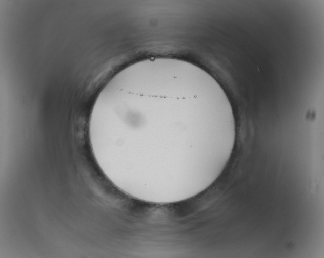 X0000112210115200909041350
