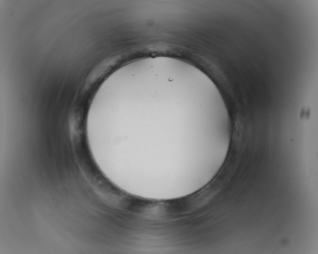 X0000112210116200909041350