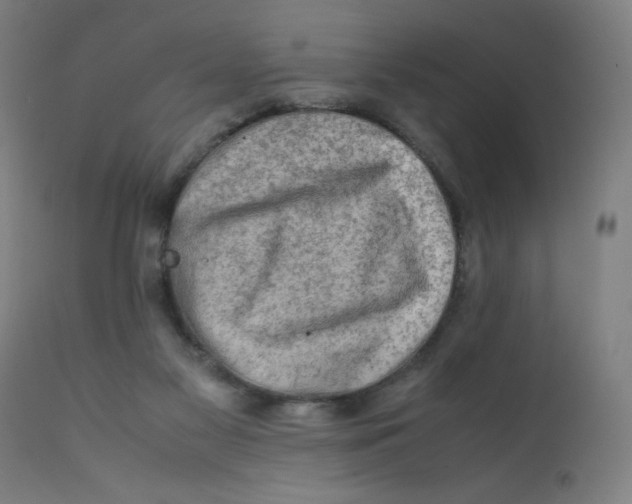 X0000112210117200909041350
