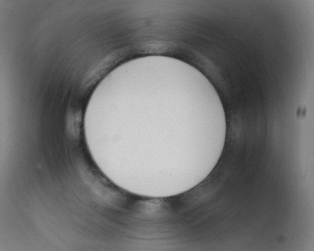 X0000112210118200909041350