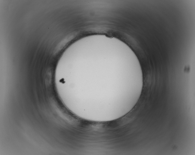 X0000112210120200909041350
