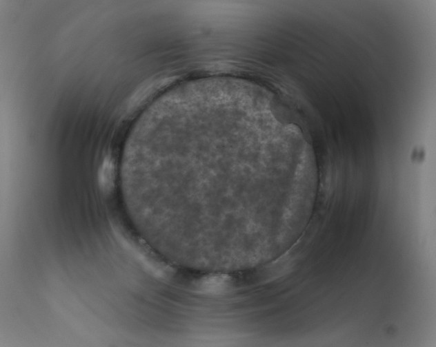 X0000112210124200909041350