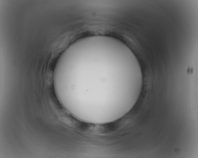 X0000112210125200909041350