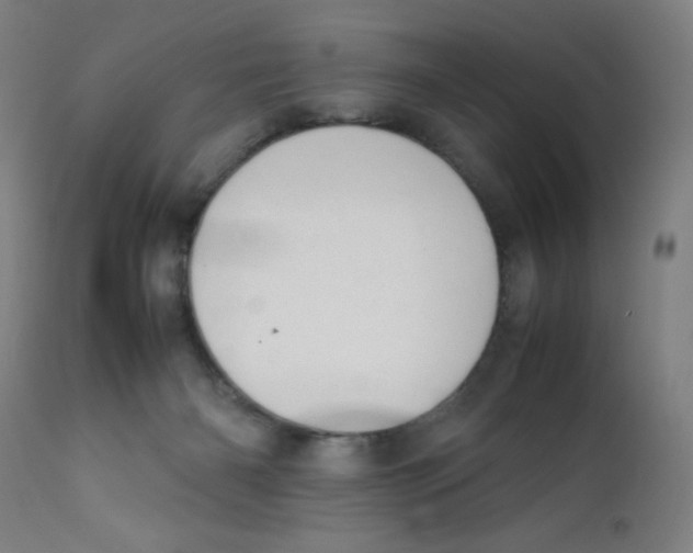 X0000112210126200909041350