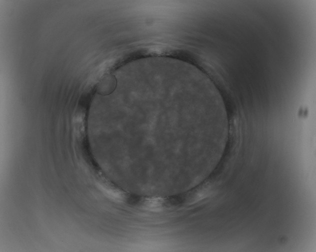 X0000112210127200909041350