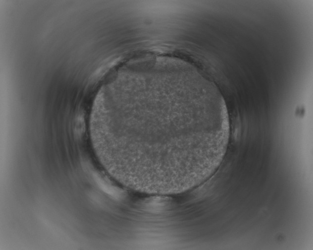 X0000112210128200909041350