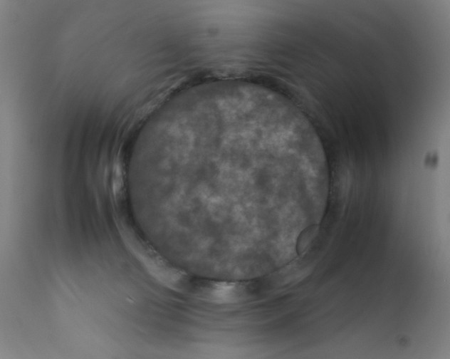 X0000112210130200909041350